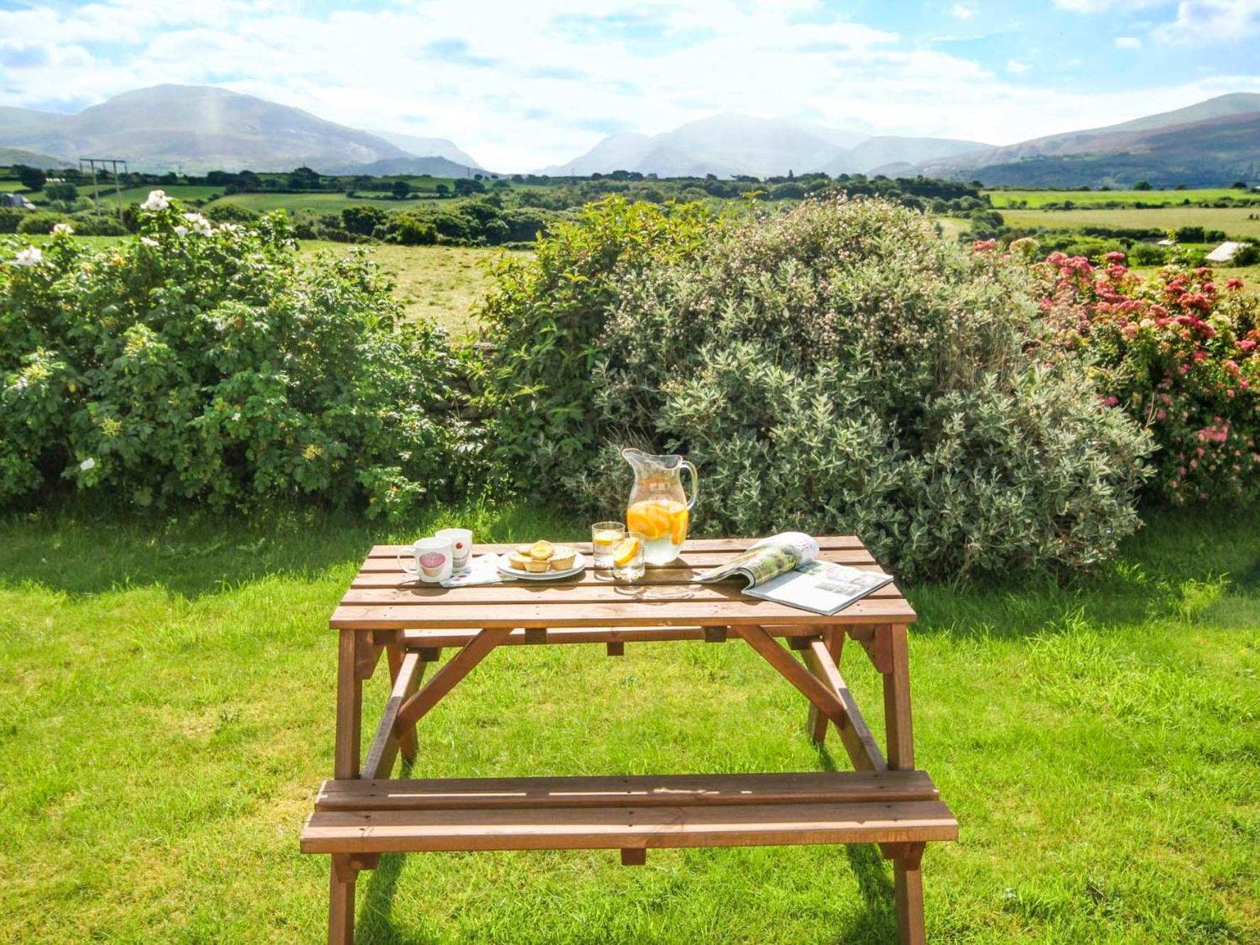 Coed Bolyn Lodge スランザイニオレン エクステリア 写真